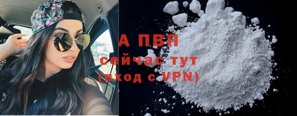 мескалин Богданович