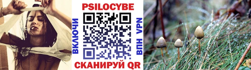Галлюциногенные грибы MAGIC MUSHROOMS  Воскресенск 